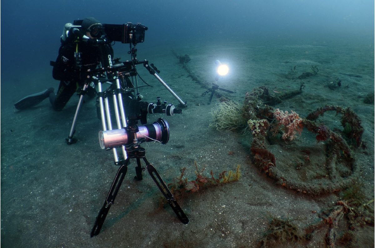 Roger Munns films Hairy Frogfish for Nat Geo's Underdogs